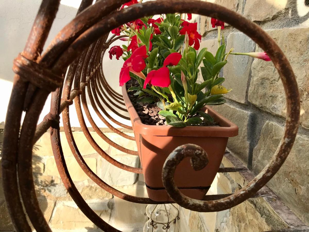 Borgo Manca Suite Sasso di Castalda Exterior photo